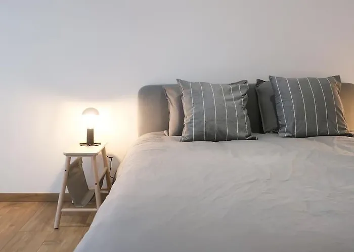 1 Bedroom Apartment In Liege Center - 1St Floor